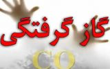 مرگ ۳ نفر براثر گازگرفتگی در منطقه دلی‌بجک بویراحمد