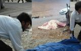 ۶ کشته و زخمی در تصادف خونین محور یاسوج_اصفهان ۶ کشته و زخمی در تصادف خونین محور یاسوج_اصفهان